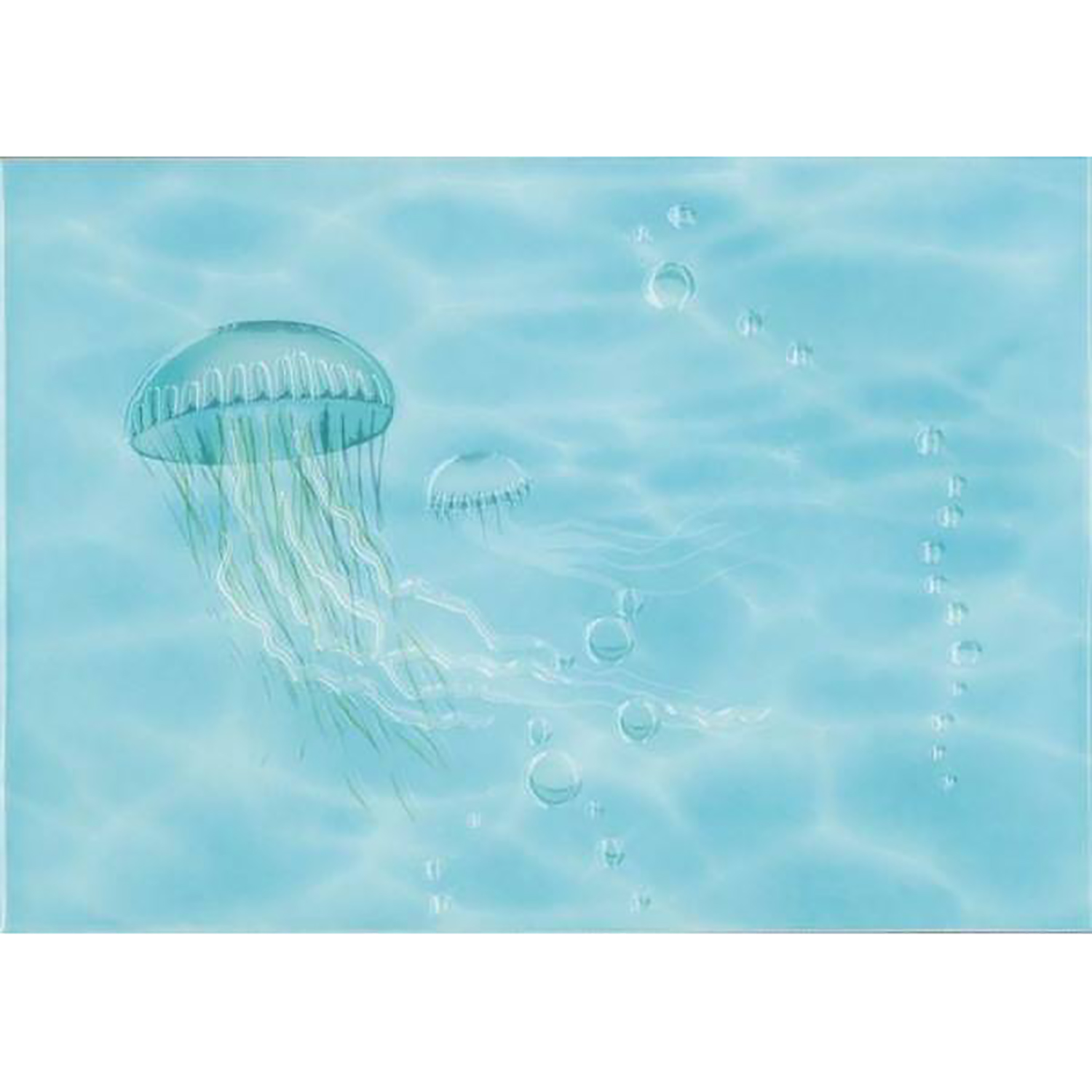 яяяДекор Лазурь (Б) Осьминог бирюзовый 250*350 (1*9) Березакерамика