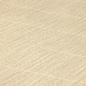 Обои флиз "Палитра" 10 ВВ ГТ PL72105-42 1,06*10м *1/6