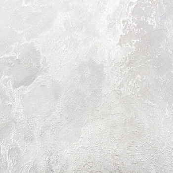 Обои  флиз. "Эрисманн" Alise/Элис фон (серо-беж.) 60797-06 10.05х1.06м *6