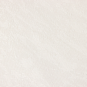 Обои флиз "HomeColor"   PROTECT-CASA фон (беж.) HC31236-21a 1,06*10м *1/8