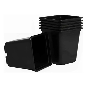 Набор горшков 500 мл для рассады Ангора, 6 шт., 10х9х9 см, пластик, черный