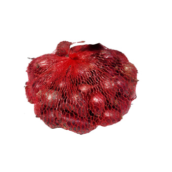 Лук-севок Ред Барон (21/24) 0,5кг +/-10% Франция