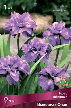 Ирис сибирский Империал ОпалК