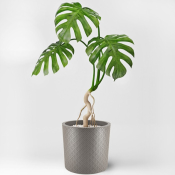 Кашпо пластм. "Этна" 24л d верха 380мм h270мм с вставкой французcкий серый М3185 ("М-Пластика") *1